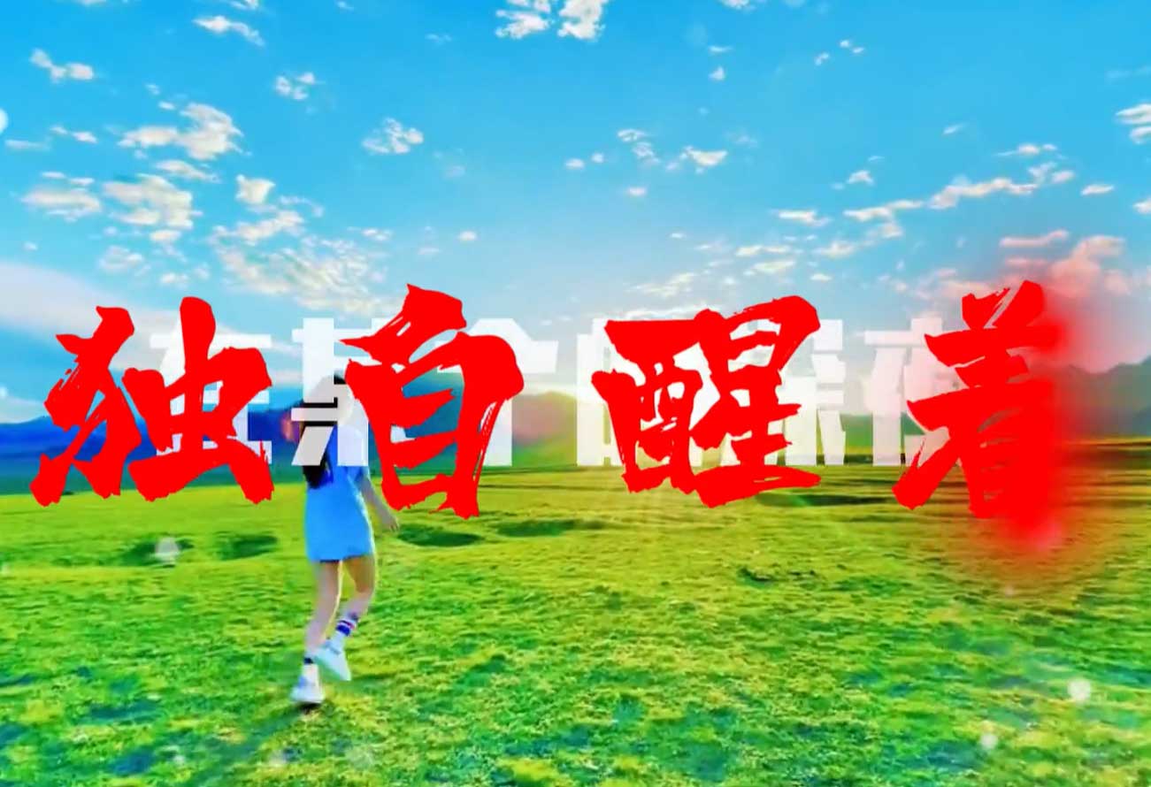 情感视频，自定义版本zs142-qinggan_zidingyi-智胜AI扣子coze工作流智能体